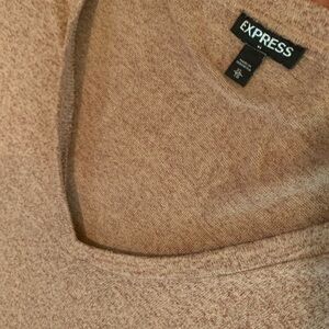 Express Brown V-Neck Sweater Cozy Knit